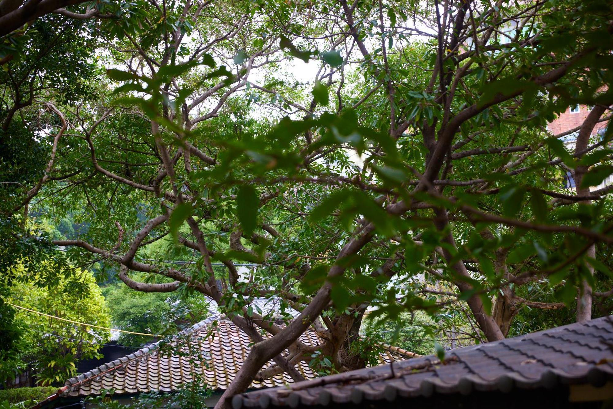 Kyokusui Hotspring Hotel Taipei Exterior foto